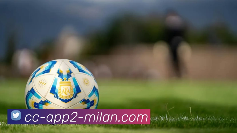 App界面